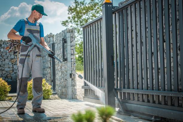 Best Rust Removal  in St Louis Park, MN